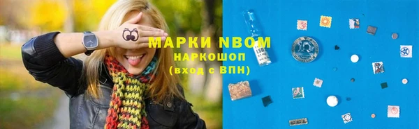 прущий лед Инсар