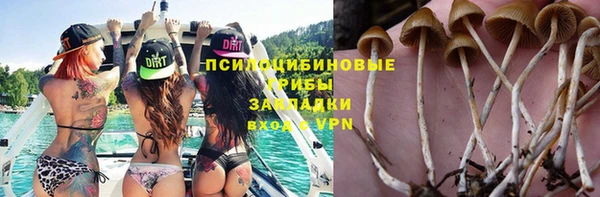 прущий лед Инсар