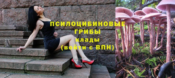 прущий лед Инсар