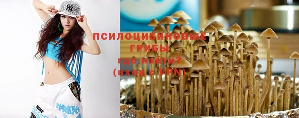 прущий лед Инсар