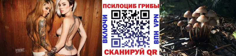 Галлюциногенные грибы GOLDEN TEACHER  даркнет сайт  Динская 